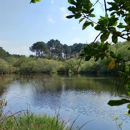 Comfortable With Pool Appartamento *