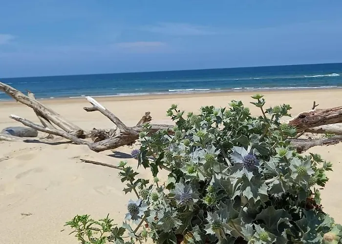 Apartament Comfortable With Pool